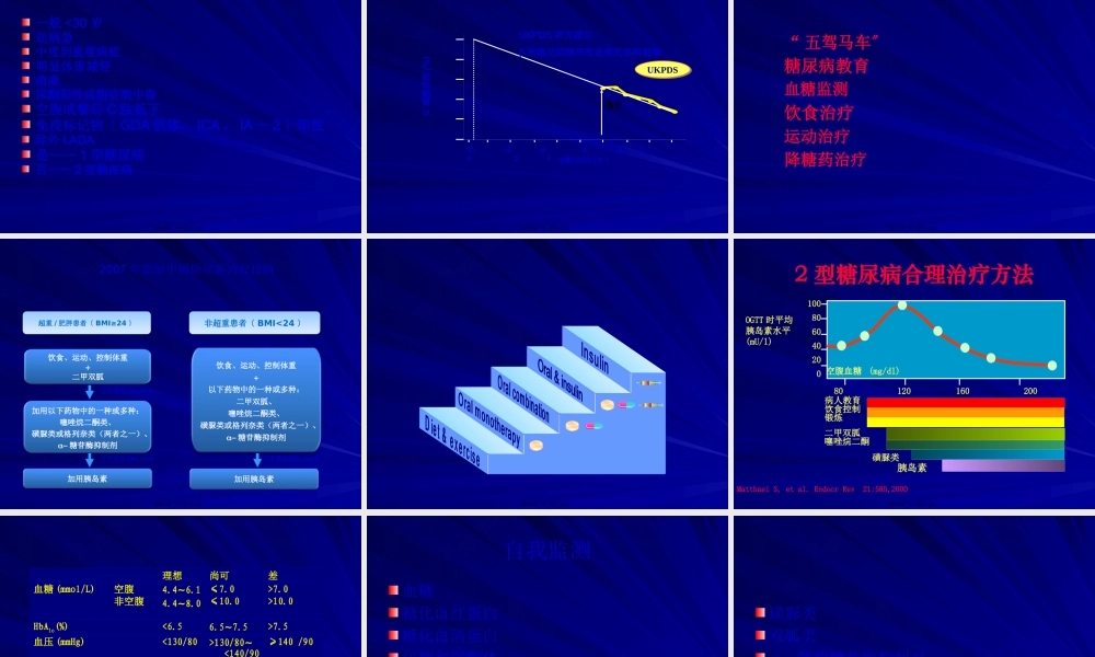 中西医诊治糖尿病进展.pptx