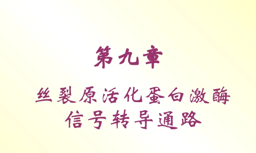 丝裂原活化蛋白激酶.pptx