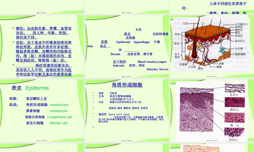 《皮肤性病学》总论.解读.pptx