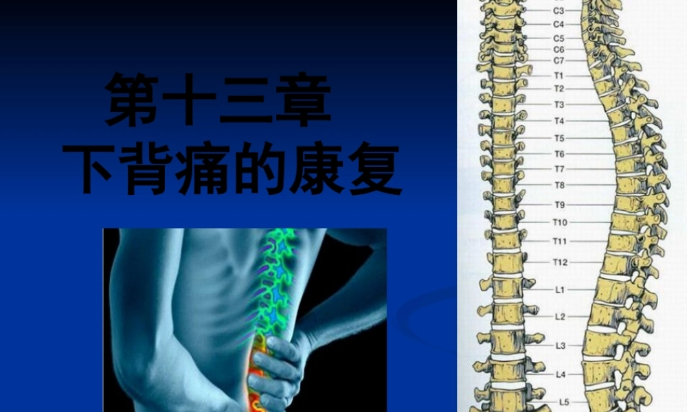 下背痛的康复.pptx