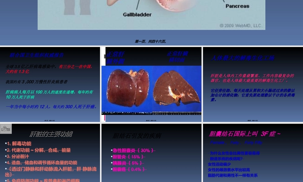 为什么要排肝毒new.ppt