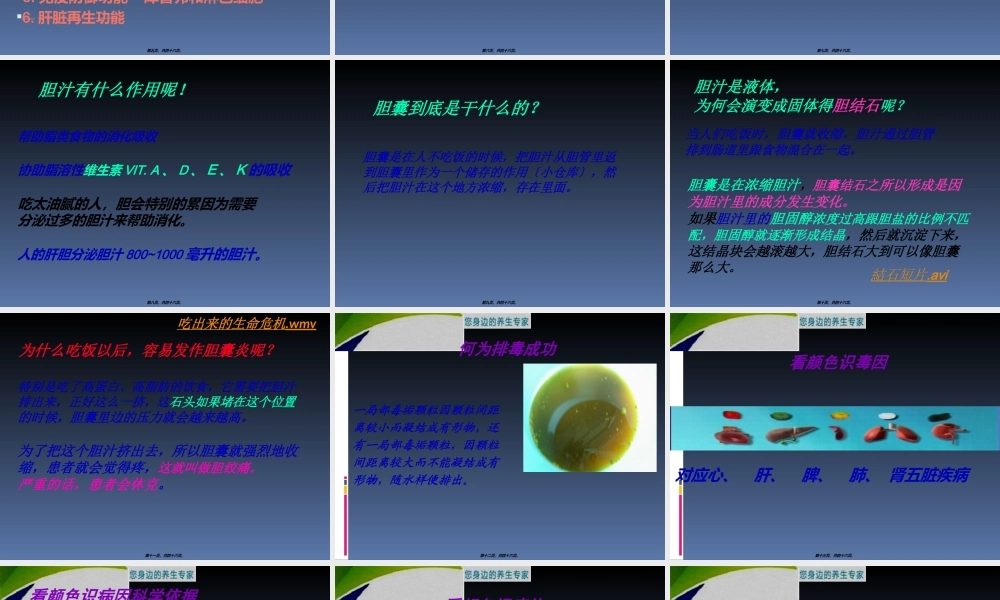 为什么要排肝毒new.ppt