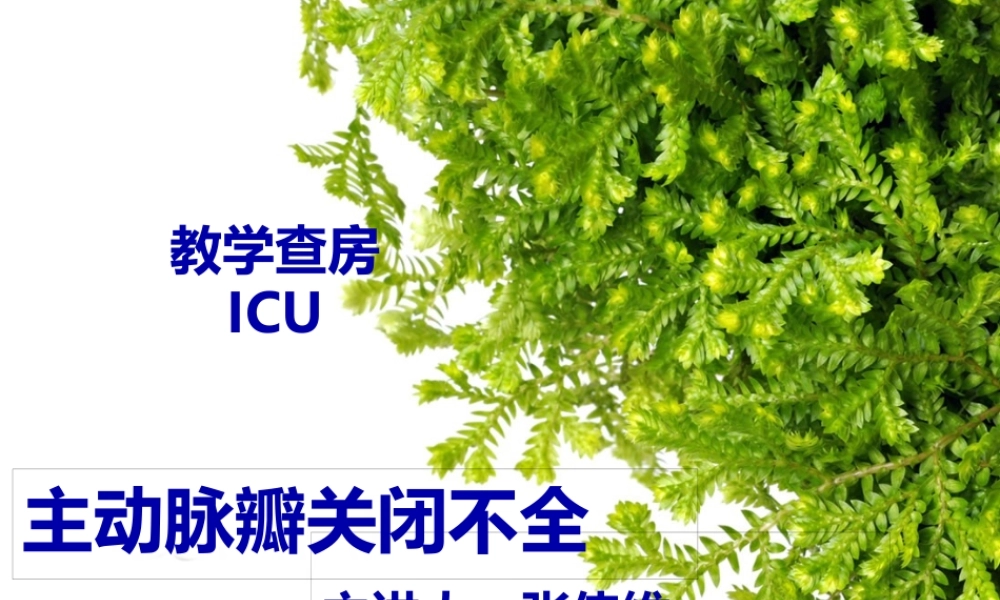 主动脉关闭不全..pptx