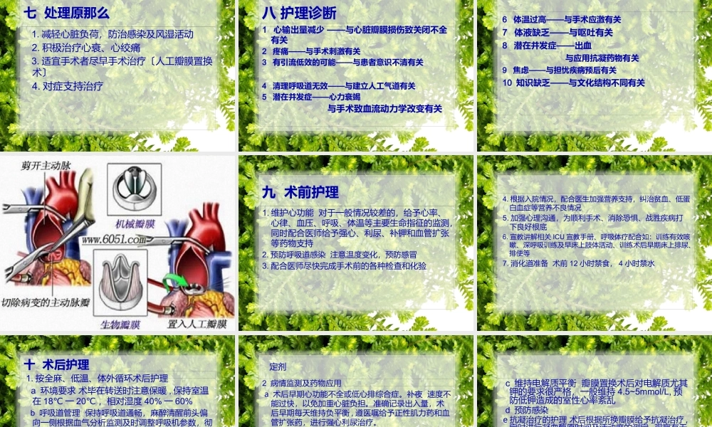 主动脉关闭不全..pptx