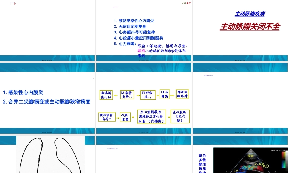 主动脉瓣+肺动脉瓣.ppt