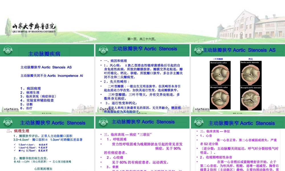 主动脉瓣膜病.pptx