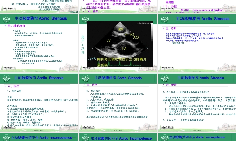 主动脉瓣膜病.pptx