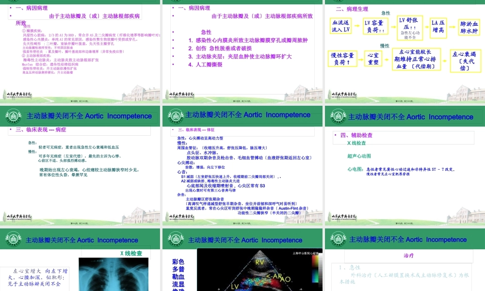 主动脉瓣膜病.pptx