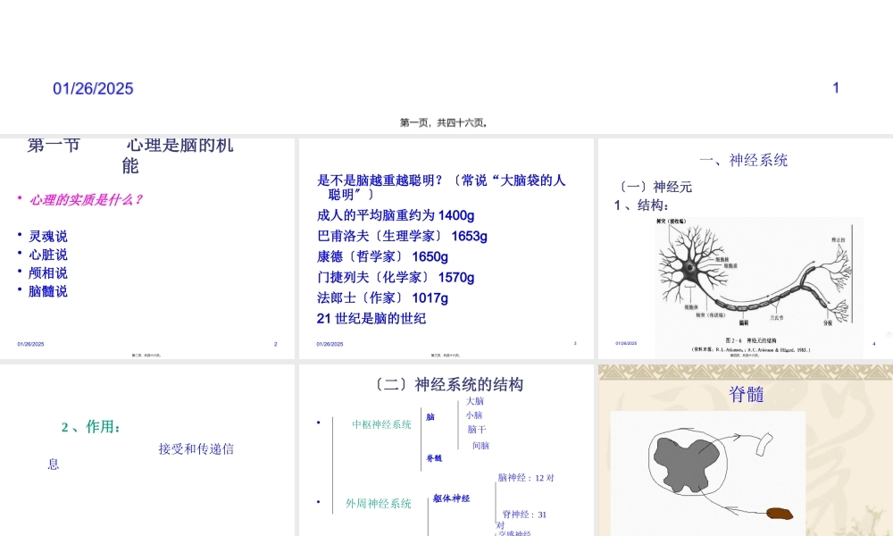 主要是大脑皮质的功能.pptx