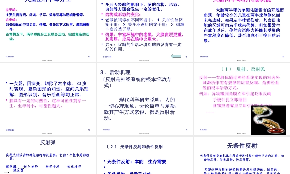 主要是大脑皮质的功能.pptx