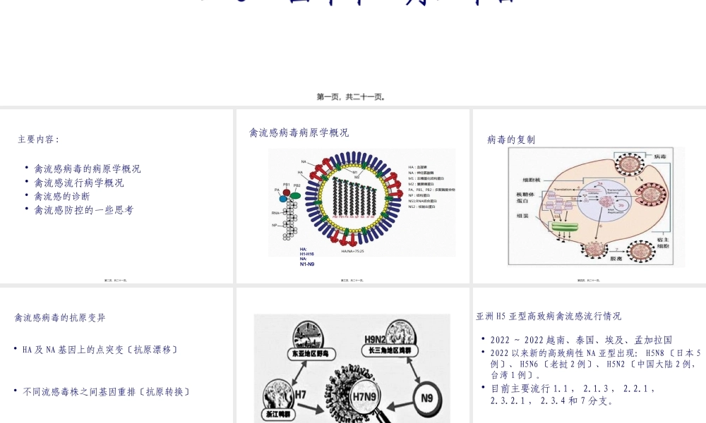 主要禽病研究及其防控.pptx