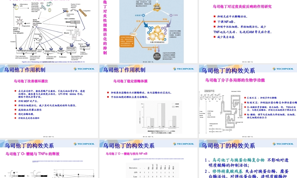 乌司他丁药理药效及相关药品简介.pptx