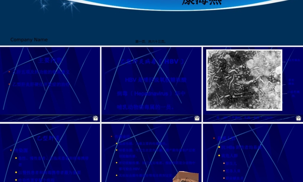 乙型肝炎及肝硬化相关知识.pptx