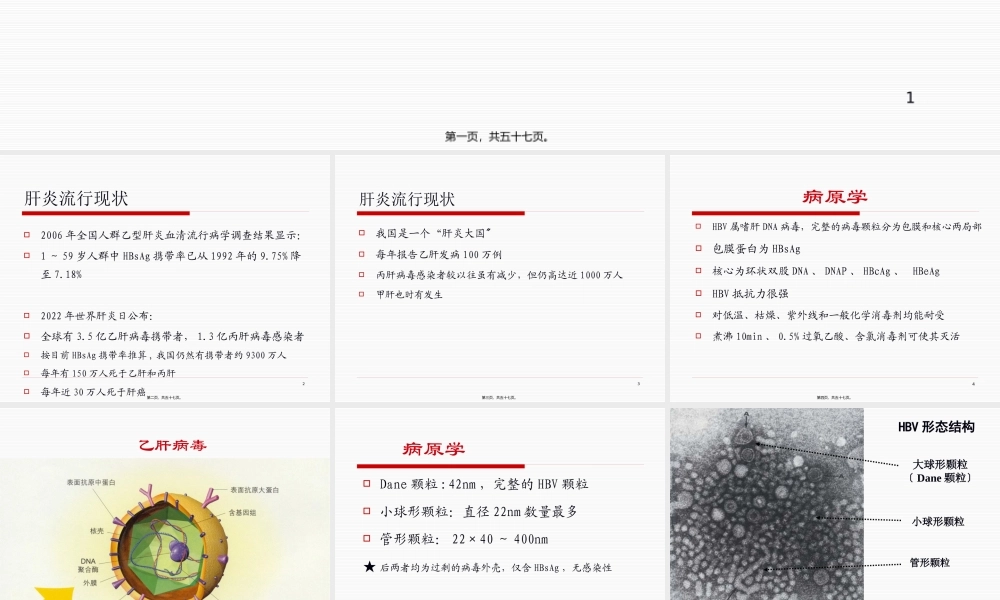 乙型肝炎的防治.pptx