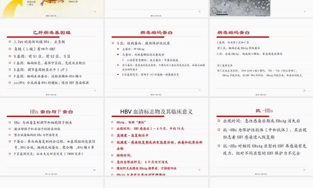 乙型肝炎的防治.pptx