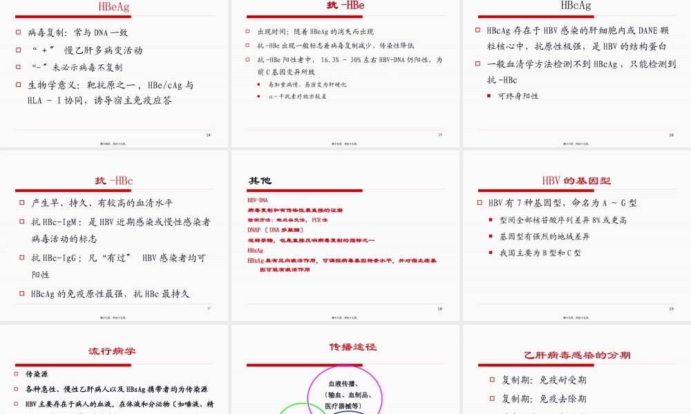 乙型肝炎的防治.pptx