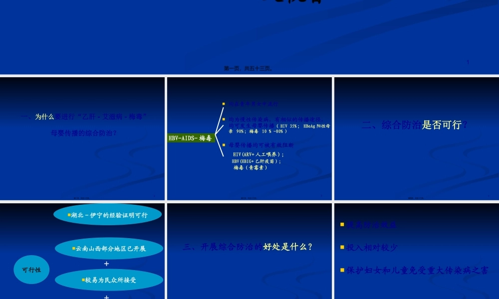 乙肝、艾滋病、梅毒母婴传播的综合防治.pptx