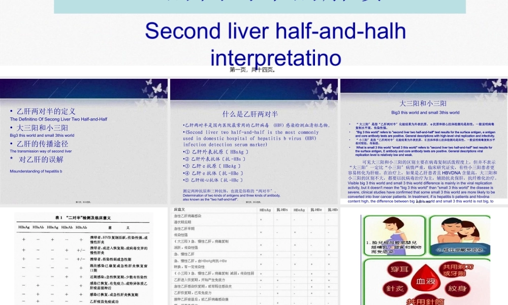 乙肝两对半的解读.pptx