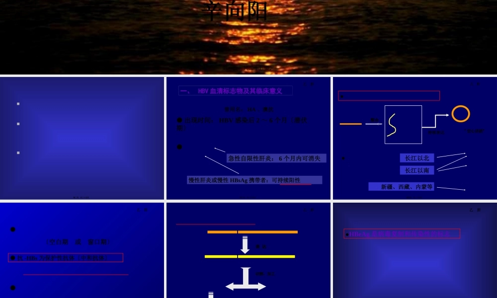 乙肝两对半的意义.pptx