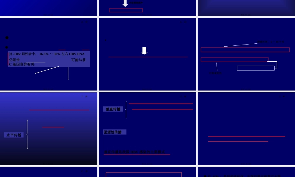 乙肝两对半的意义.pptx