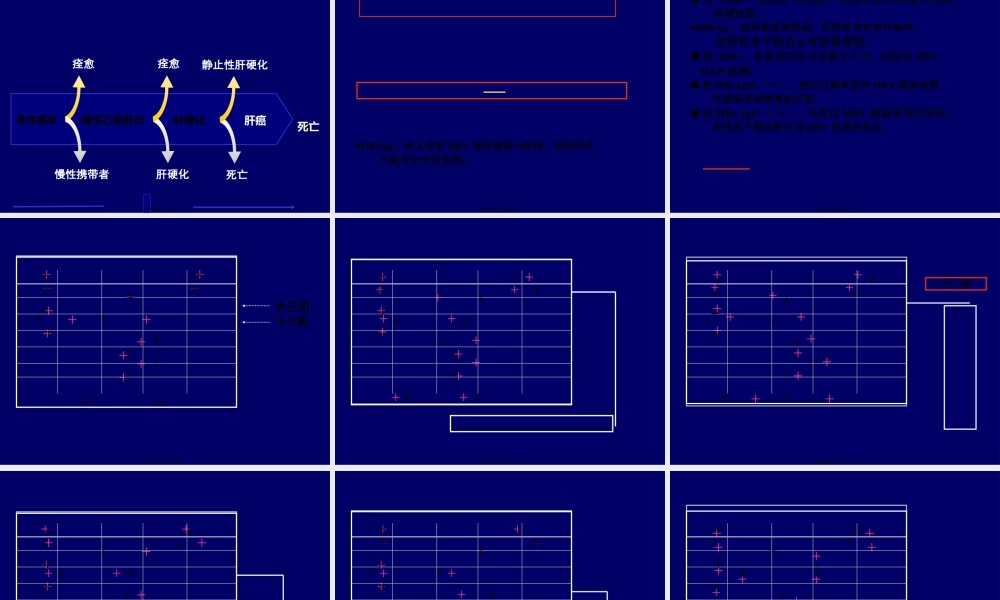 乙肝两对半的意义.pptx