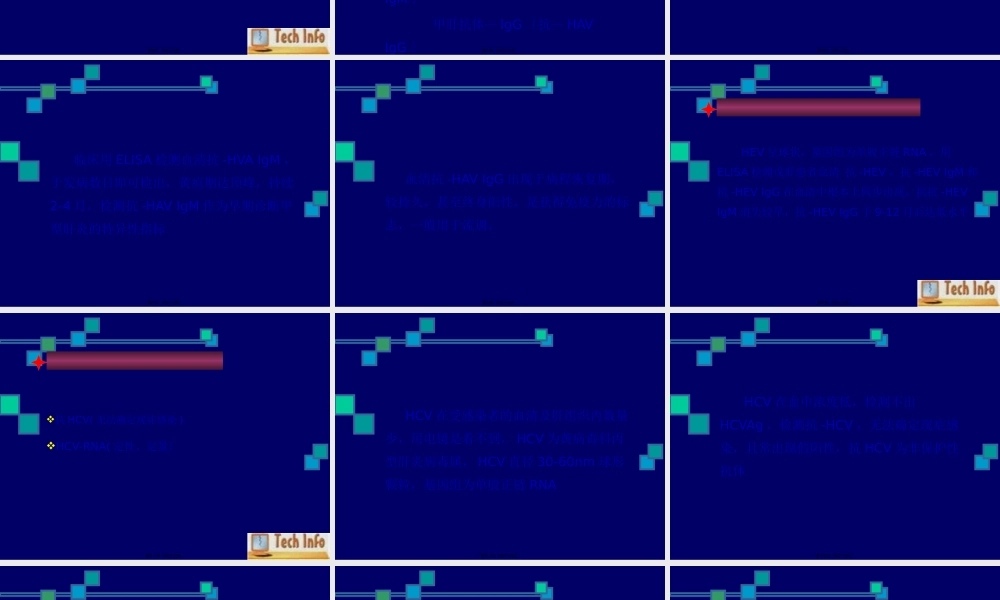 乙肝两对半检测的意义-穆仁懋.pptx