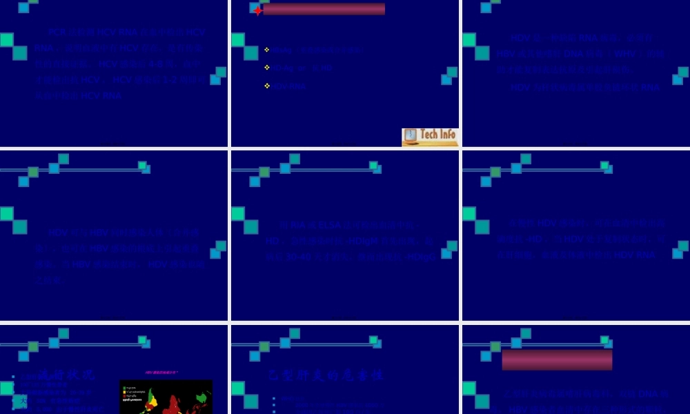 乙肝两对半检测的意义-穆仁懋.pptx