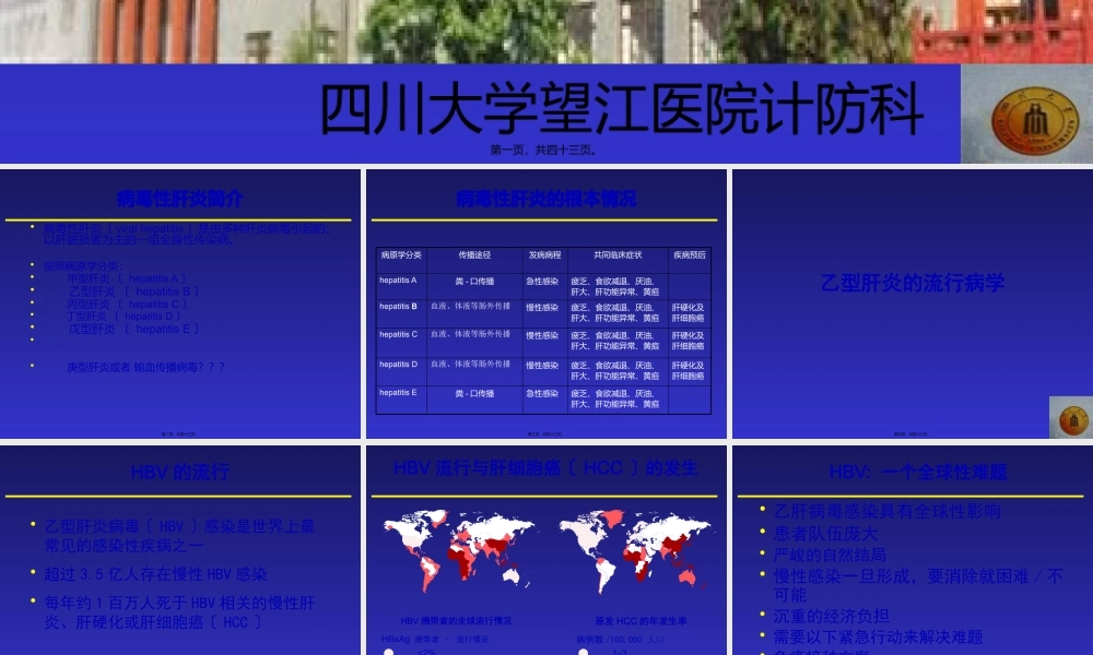 乙肝中文幻灯片.pptx