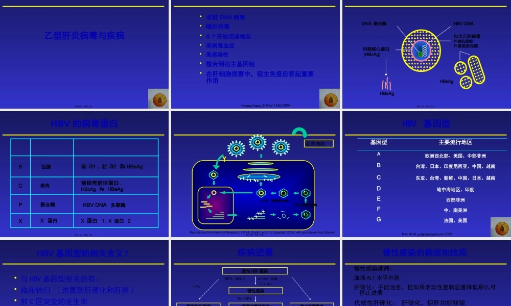 乙肝中文幻灯片.pptx