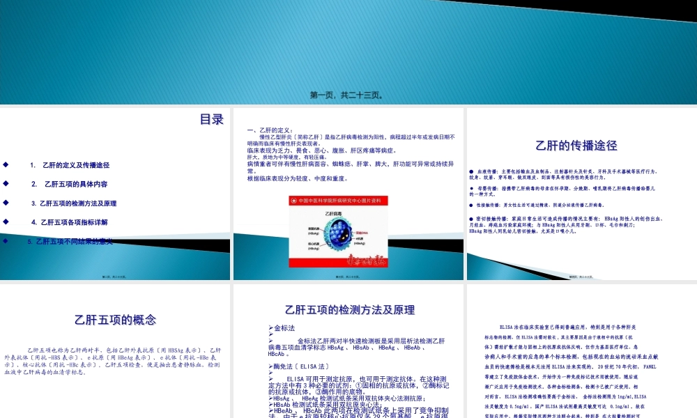 乙肝五项修改版.pptx
