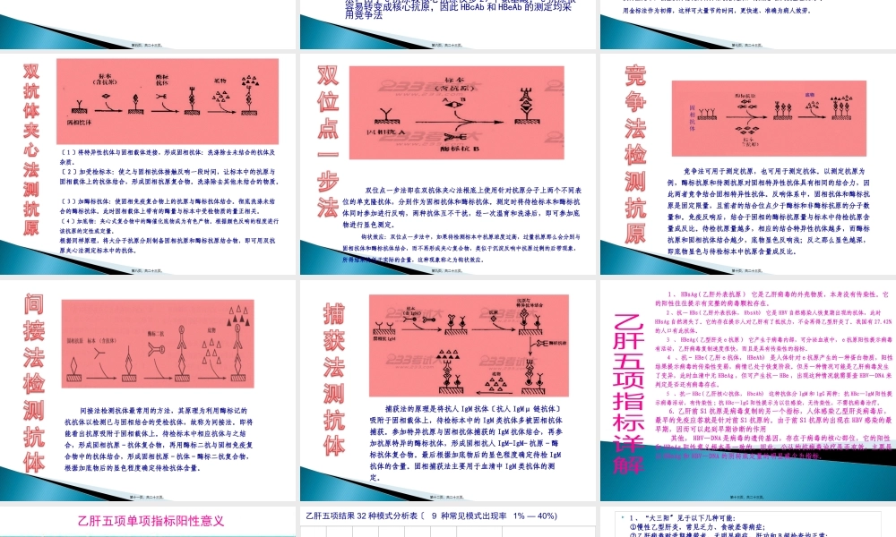 乙肝五项修改版.pptx