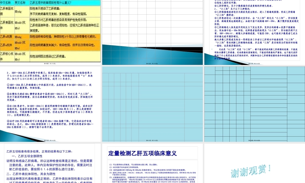 乙肝五项修改版.pptx