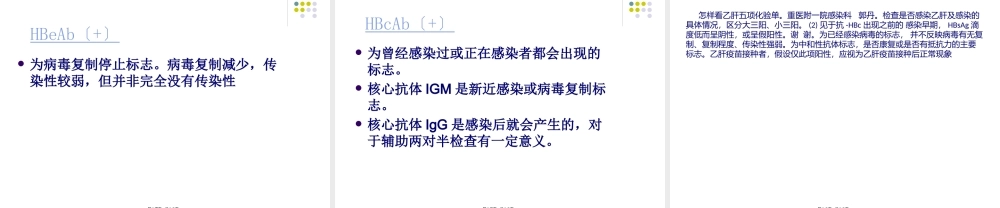 乙肝五项化PPT.pptx