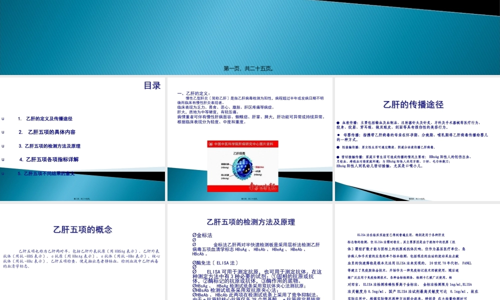 乙肝五项修改版汇总.pptx