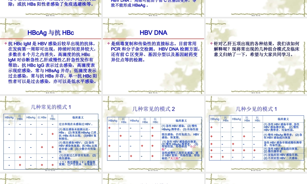 乙肝五项解读.pptx