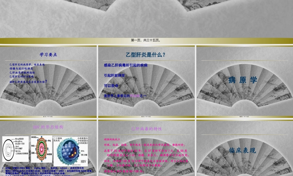 乙肝基本知识.pptx