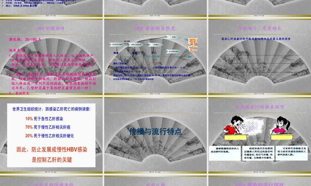 乙肝基本知识.pptx