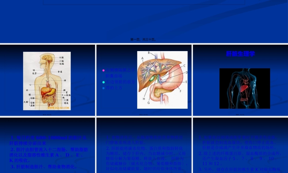 乙肝基础知识讲座.pptx