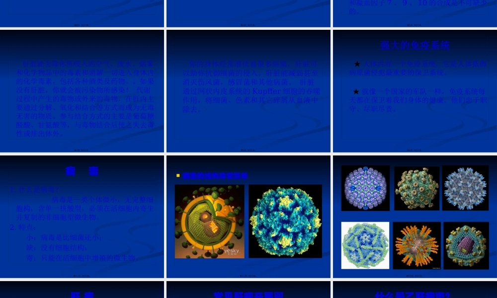 乙肝基础知识讲座.pptx