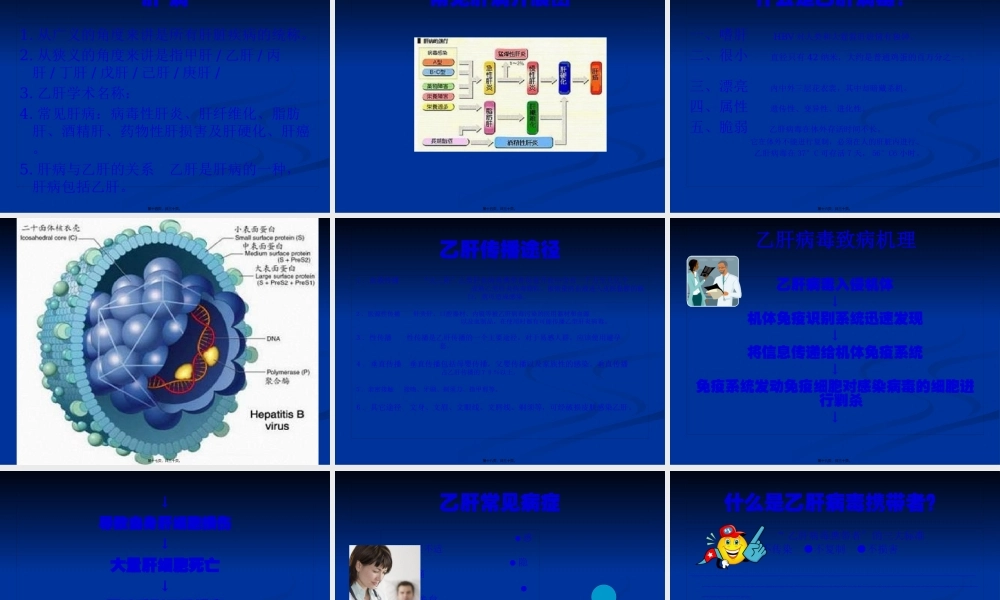 乙肝基础知识讲座.pptx