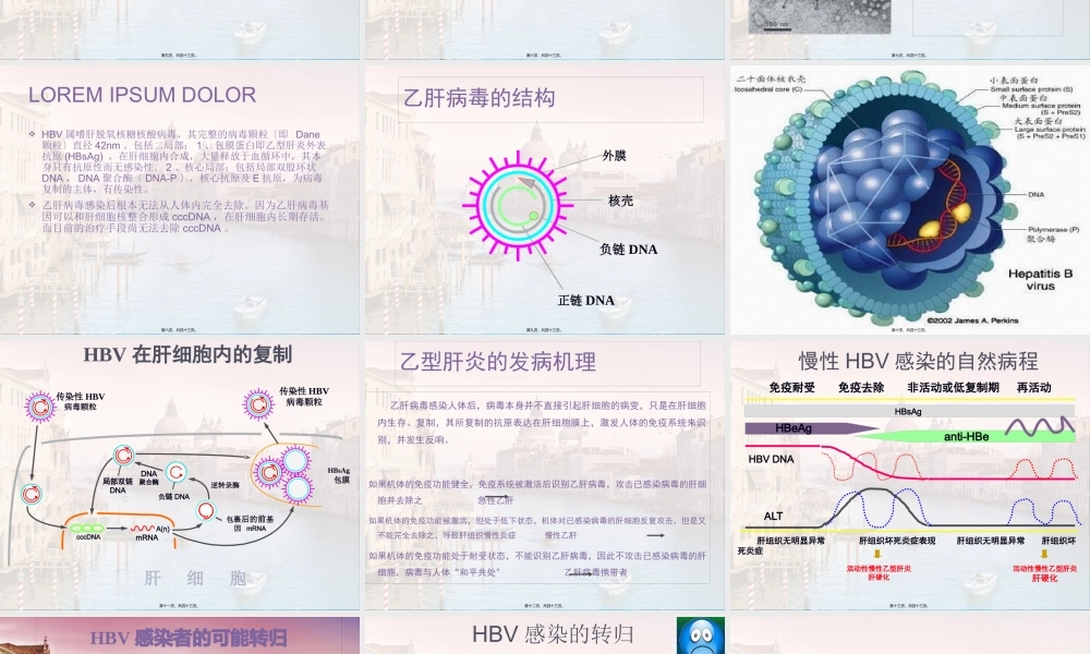 乙肝六项具体意义专业分享郑州肝病医院.pptx
