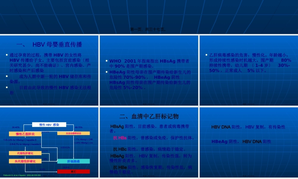 乙肝婴阻断.pptx