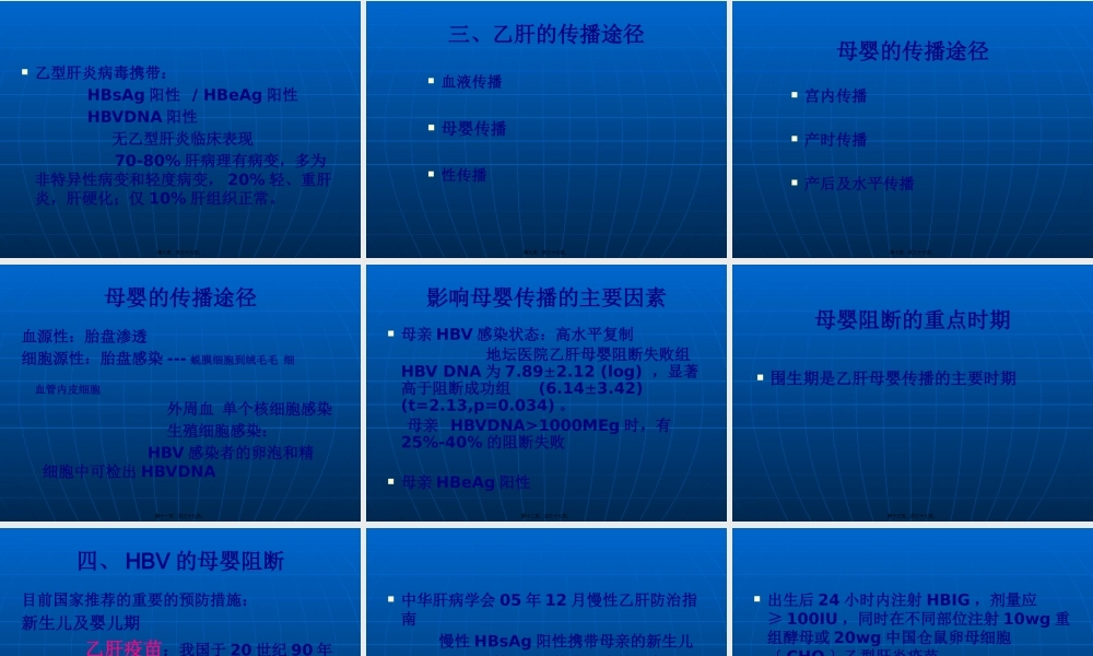 乙肝婴阻断.pptx