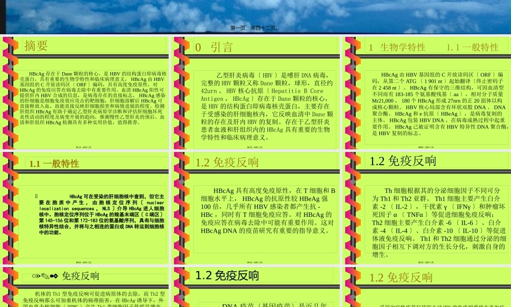 乙肝核心抗原的检测与应用.pptx