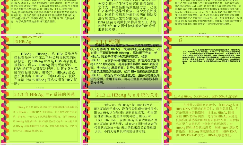 乙肝核心抗原的检测与应用.pptx