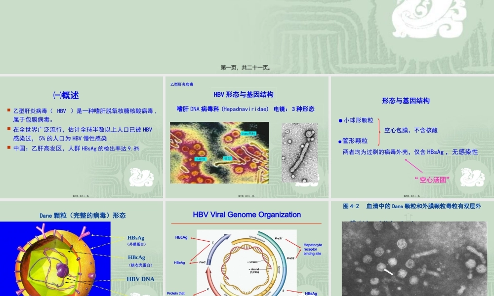 乙肝标志物检测.pptx