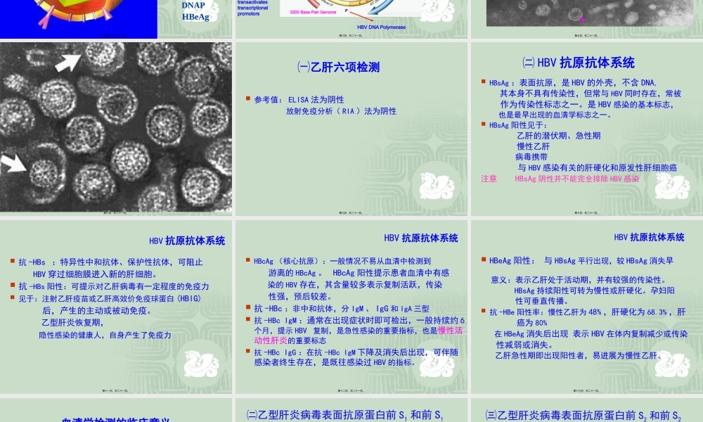 乙肝标志物检测.pptx