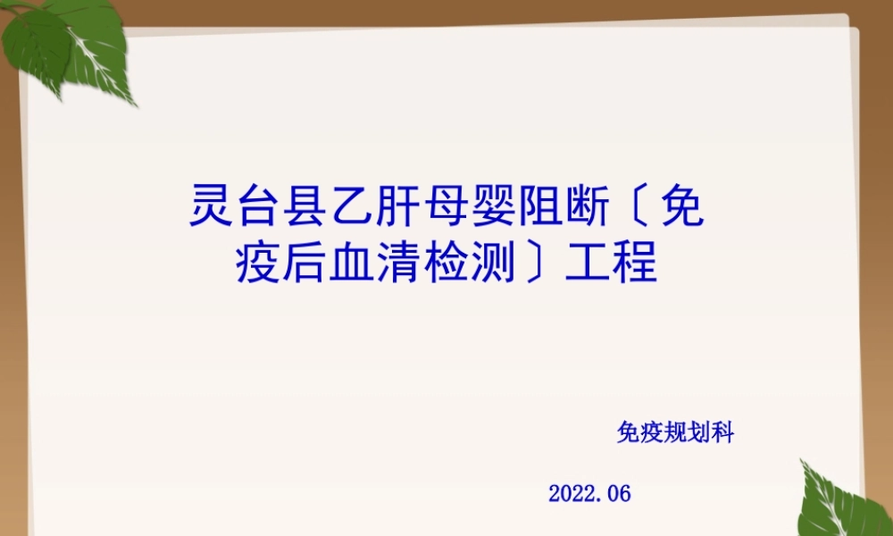 乙肝母婴阻断项目.pptx