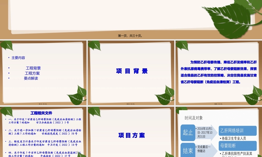 乙肝母婴阻断项目.pptx