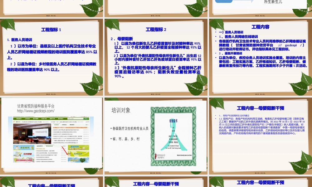 乙肝母婴阻断项目.pptx